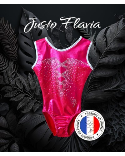 FLAVI