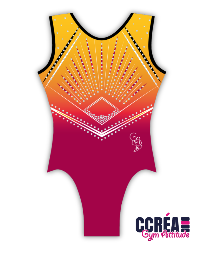 Justaucorps de Gymnastique
