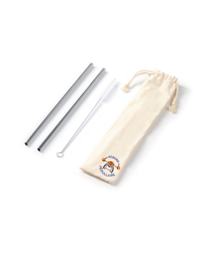 Ensemble de 2 pailles en acier inoxydable